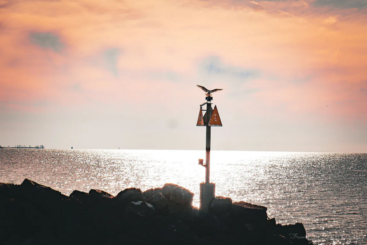 A gull lands with wings spread on a navigation marker at the end of a rock jetty, the water glittering under a peach sky.